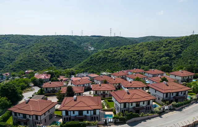 Havadan, orman